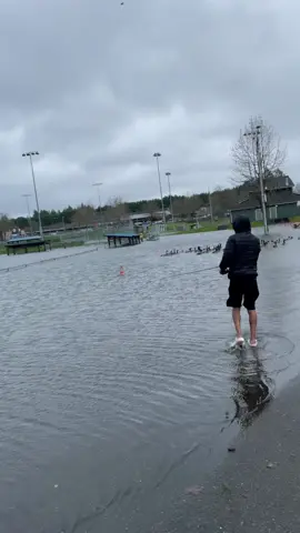 #wa #jokes #flood #funny