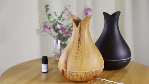 400ml Wood Aroma Diffuser#diffuser #400ml Aroma Diffuser