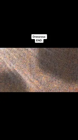 Still crying over this😭😭#onepiece#dressrosaarc#luffy