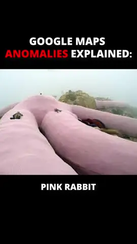 you see this on the side of the road, wyd? ? #fyp