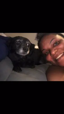 #boostofhope #dogsofttiktok #doglife #PetsOfTikTok #lesbonsbonsmoments