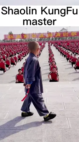 #CapCut The youngest KungFu instouctor Shaolin Temple#chinese #shaolin #kungfu #wushu #chinesekungfu #fyp