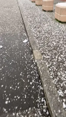 #snow #snowfall #italy #italyale #murtazapatentebook #pakistaniinitaly