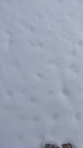 ✨T✨#fyp #foryou #viral #T #snow