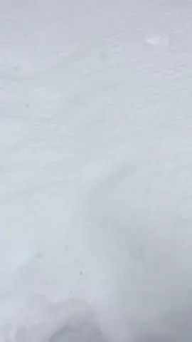 #fyp #actuallifehack #foryourpage #foryou