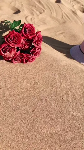 #اسم ملاك 🤍