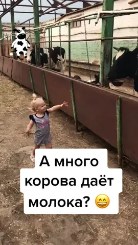 #фермерское#фермерскоехозяйство#коровы#дети#прикольноевидео#голоднымнеоставит#маленькийфермер#помощница#сено#аришаиарсений#врек