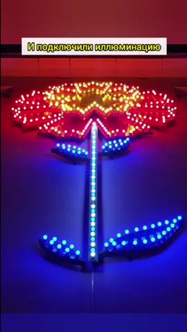 Вид цветка – Гвоздика городская. А у вас в городе есть такие? #история #архитектура #реставрация #краеведение #фондвнимание #рекомендации #рек