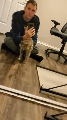 #cat #catsoftiktok #mirror #mirrorchallenge #eggo