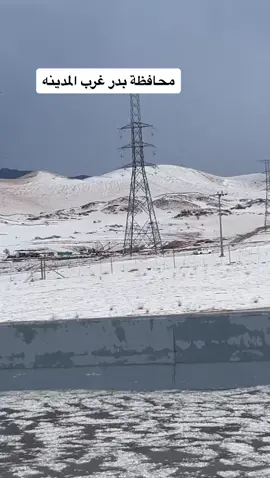 #بدر #المدينه_المنورة #برديه ماشاء الله