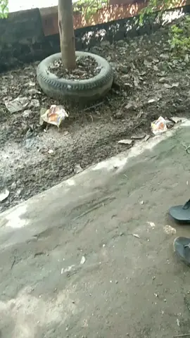 istirahat sejenak😴 #fyp #fypシ #fypdongggggggg