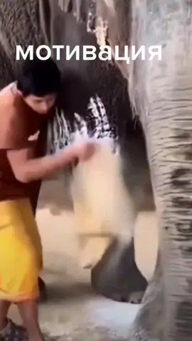 #мотивация