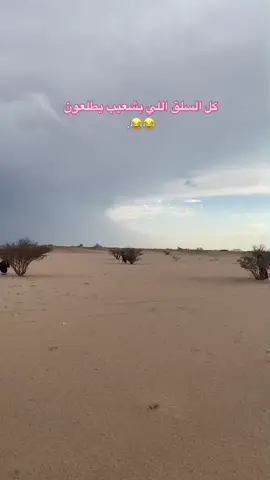 ههه ضيعو الاتجاه 😂😂#الهشتاقات_للرخوم #اكسبلور_تيك_توك #ضحك #البر