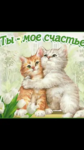 #тысчастьемоё❤️🥰😍👑 #подпишись #рекомендации #хочуврек