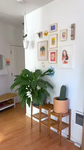 Full home tour on my YouTube soon 👀 💕 #apartmenttour #tiktokdiy #thrifted #homedecor