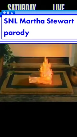 #marthastewart #living #anagasteyer #snl #sketch #saturdaynightlive #parody #funny #haha #merciless365 #xyzbca #foryoupage #fyp #trending