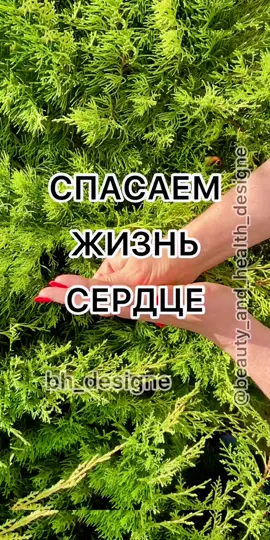 #bh_designe #здоровье #зож #зож2022 #сердце #приступ #боль #сердцебиение #жизнь #больвсердце #тревога #инфаркт #оздоровление#полезно#рек#рекии#реко#ре
