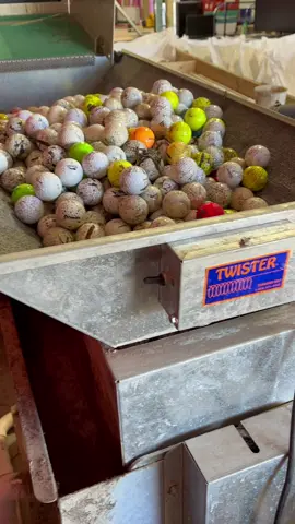 Bath time🐥#golftiktok #golf #usedgolfballs #fyp