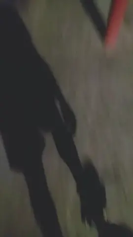 caminhada na noite 🌃🌃