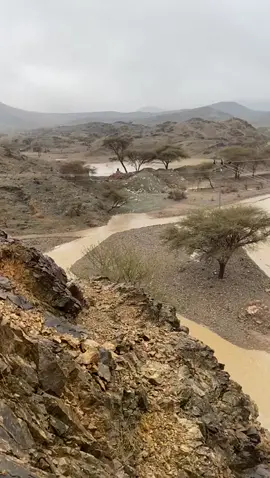 #ياللي تريد علوم حنا مطرنا