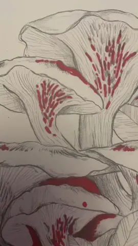mushies #fyp #art