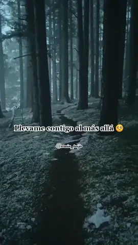 Algún #fan de #magodeoz 😍 #ellibrodelassombras #parati #music #viral #fyp #edit #foryou #lyrics #insomnio #fypシ #cancion #sentimental #liric #estadosparawhatsapp #rolitas #folkmetal #powermetal #heavymetal #metal #bosque #oscuridad