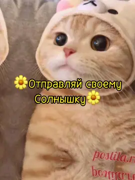 Спасибо за 10к лайков<3
