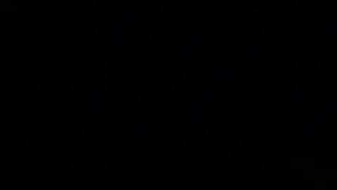 #sponsored #lyrics con bướm xuân remix