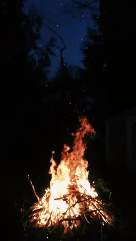 Suhana har dard hain :) #foryou #thestraybird