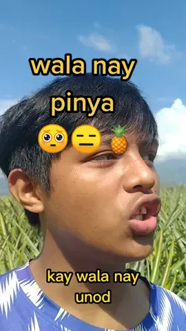 wala nay pinya...#bisaya #Vlog #pinya