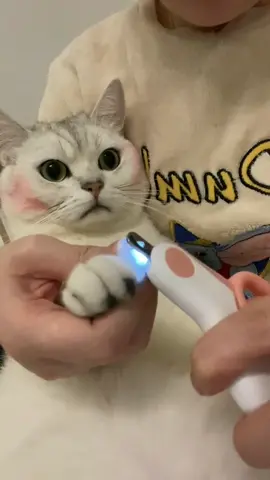 cut nails#petscats #cats #fouyoupage #fouyou #tk