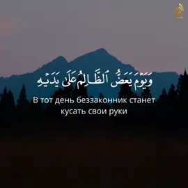 Сура: Аль-Фуркан  [27-29] 