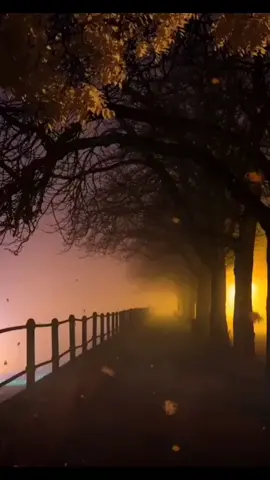 #disponsori Terutama tuk kedua orang tuaku dan anak