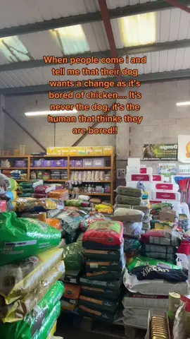 #fyp #foryou #SmallBusiness #shopowner #equestrian #PetsOfTikTok #dogsofttiktok #dogsofinstagram