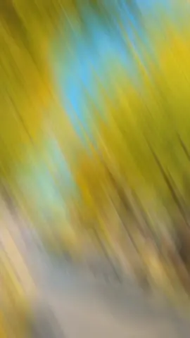 Cap thả thính ngày tết cực hợp#N_92hz#fyp #foryou #xuhuong #cap