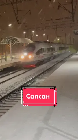 Сапсан несется через снег! #поезд #жд #ржд #зима #состав #вагон #сапсан #снег