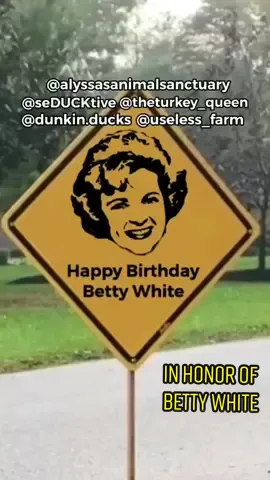 Happy 100th birthday to the GOAT Betty White, thank you for being a friend to all animals🎉❤️@seducktiv @useless_farm @dunkin.ducks @theturkey_queen