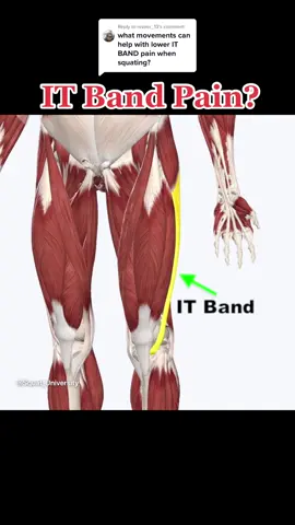 Reply to @rezzer_13 Here’s how to fix IT band pain. #itband #lifting #workout #Fitness #gym #powerlifting #bodybuilding #weightlifting #crossfit #lift