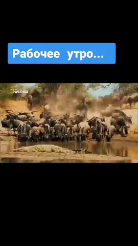 #утродоброе #работаем #работатакаяработа #сноваработаем #аусуббота