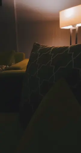 هات عينيك تسرح في دنيتهم عنيا 🤍.. #اكسبلور#مي_فاروق#fyp