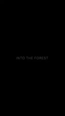 the forest is food for the soul