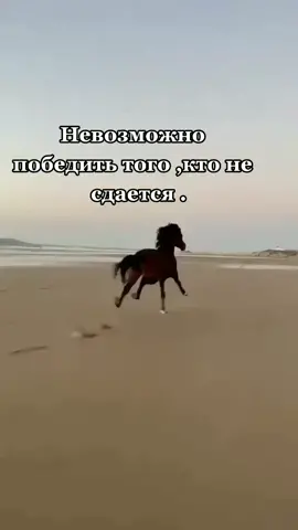 Сколько раз выставляю это видео ,вообще нет просмотров ,#цитатасосмыслом #сп #видеомонтаж #ви #вид #виде #2022tiktok