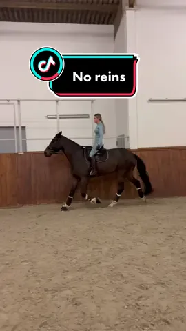 No reins no problem 😎 my clever 3y/o 🐴 IG:annchen.augustine #fy #foryou #equestrian