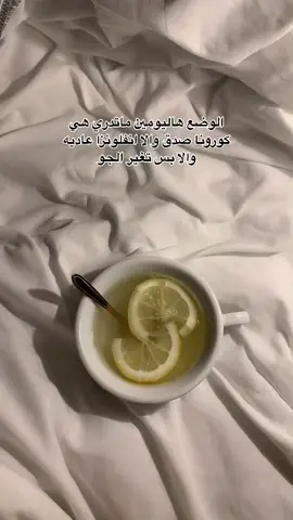 #الهاشتاقات_للرخوم #اكسبلور #fyp