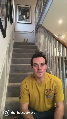 #hall #DIY #renovation #stairs #runner #carpet #paint #painting #hardwork #sanding #hammer #staircase #dog #handyman #ad #designmyspace #carpetright