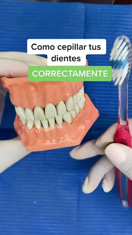 La técnica de cepillado correcta #dientesblancos #cepilladodental