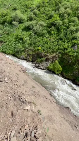 #камароб #❤️❤️❤️🦁🦅