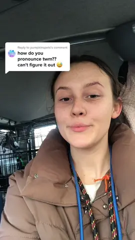 Reply to @pumpkinspets #dennisdogdays #dogwalker #dogtrainer #fyp