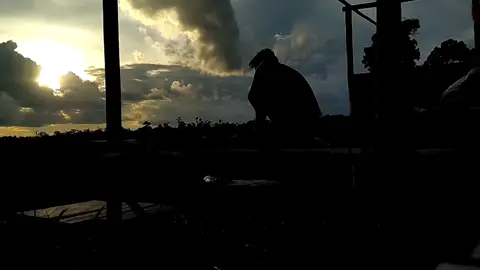 Simpele🗿 #muarateweh #lewatberandagak