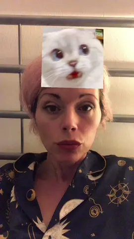 Me aburrro#fyp #masde40 #lentejas #cats #humor #parati